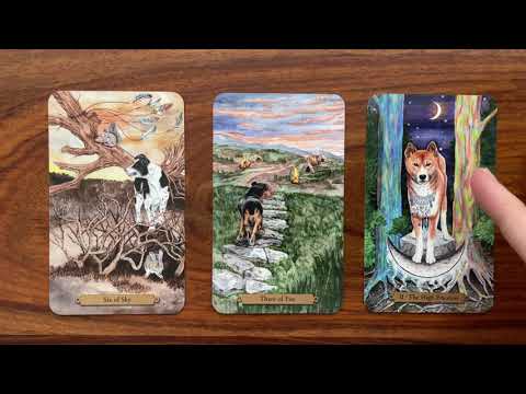 Do you stay or do you go? 24 March 2022 Your Daily Tarot Reading with Gregory Scott