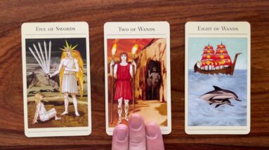 Trust your instincts 6 March 2022 Your Daily Tarot Reading with Gregory Scott