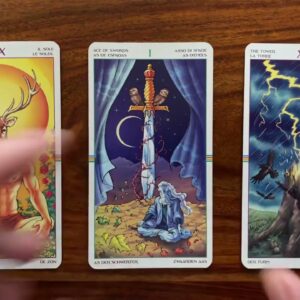 Surprise yourself with your own courage 8 March 2022 Your Daily Tarot Reading with Gregory Scott