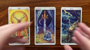 Surprise yourself with your own courage 8 March 2022 Your Daily Tarot Reading with Gregory Scott