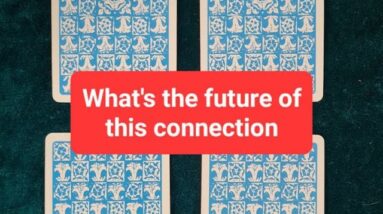 What is the future of this connection / relationship - pick a card #shorts