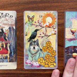 Find your passion 29 March 2022 Your Daily Tarot Reading with Gregory Scott