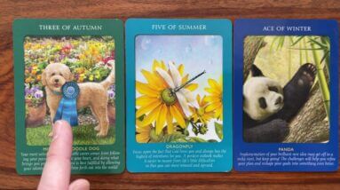 Love yourself into action 11 April 2022 Your Daily Tarot Reading with Gregory Scott