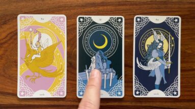 How to stand in your power 30 May 2022 Your Daily Tarot Reading with Gregory Scott
