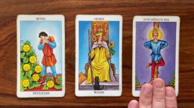 What is real security? 31 May 2022 Your Daily Tarot Reading with Gregory Scott