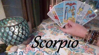 Scorpio May 2022 ❤️ A Long Lost Love Scorpio ❤️ Your Future Love