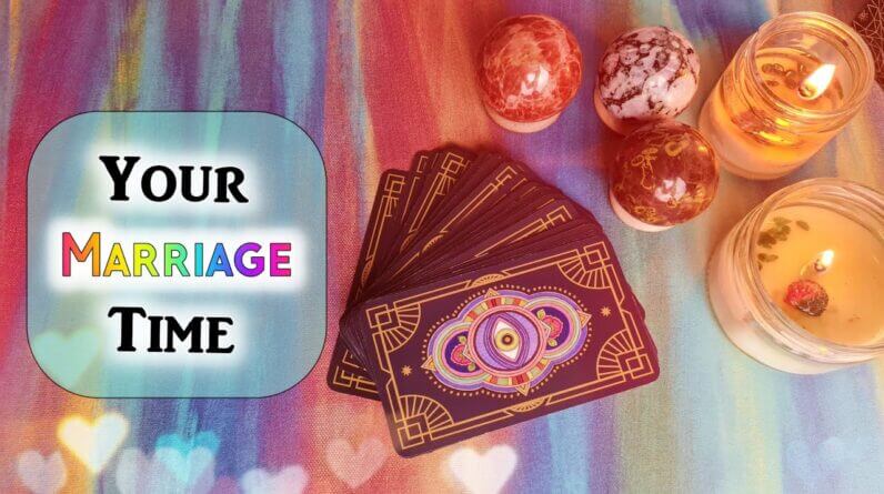 Pick A Card🤍Reveal When You Will Get Married (Tarot •Astrology•Psychic Reading) Marriage Prediction