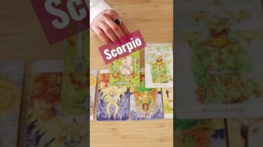 Scorpio ♏️ Who is coming in? #scorpio #shorts #horoscope #tarot