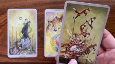 Seeing things clearly 10 May 2022 Your Daily Tarot Reading with Gregory Scott