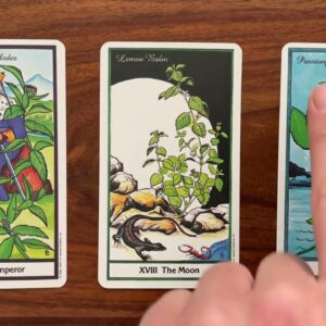 Surpass yourself! 3 May 2022 Your Daily Tarot Reading with Gregory Scott