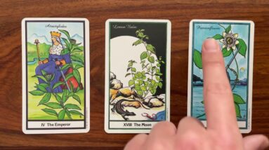 Surpass yourself! 3 May 2022 Your Daily Tarot Reading with Gregory Scott