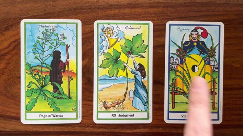 Manifest your highest good 26 June 2022 Your Daily Tarot Reading with Gregory Scott