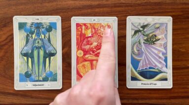 Change your mindset 12 June 2022 Your Daily Tarot Reading with Gregory Scott