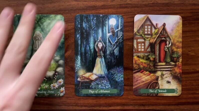 Balance out! 11 June 2022 Your Daily Tarot Reading with Gregory Scott