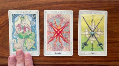 The solution to all your problems is self love 28 June 2022 Daily Tarot Reading with Gregory Scott