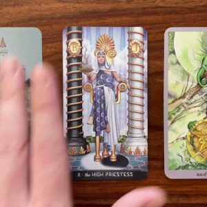 Divine protection 3 June 2022 Your Daily Tarot Reading with Gregory Scott