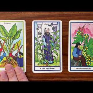 Learn from others 13 June 2022 Your Daily Tarot Reading with Gregory Scott