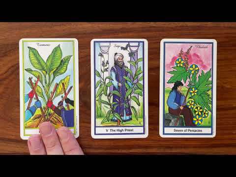 Learn from others 13 June 2022 Your Daily Tarot Reading with Gregory Scott