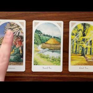 The opportunity to begin again 25 June 2022 Your Daily Tarot Reading with Gregory Scott