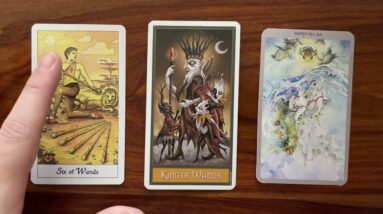 Good luck plays a role in your success 31 July 2022 Your Daily Tarot Reading with Gregory Scott