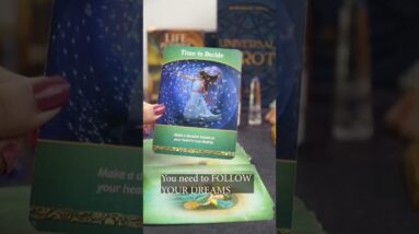 Check Your life Purpose🧚‍♂️ Career Guidance with lisasimmi #shorts #pickacard #lifepath