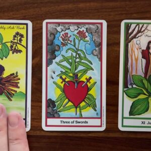 Lighten the load 27 July 2022 Your Daily Tarot Reading with Gregory Scott