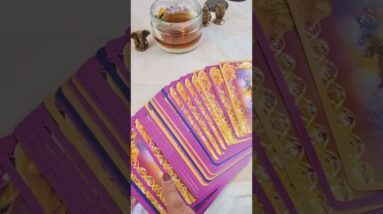 Angels Guidance 🧚‍♂️ Universe Has a Message for You - Lisasimmi #shorts #urgentmessagefromgod #love