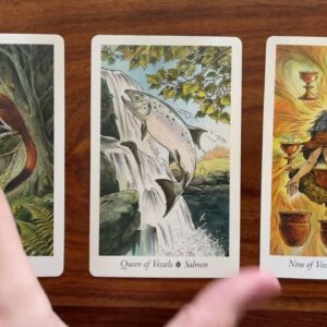 Be generous to yourself 9 August 2022 Your Daily Tarot Reading with Gregory Scott