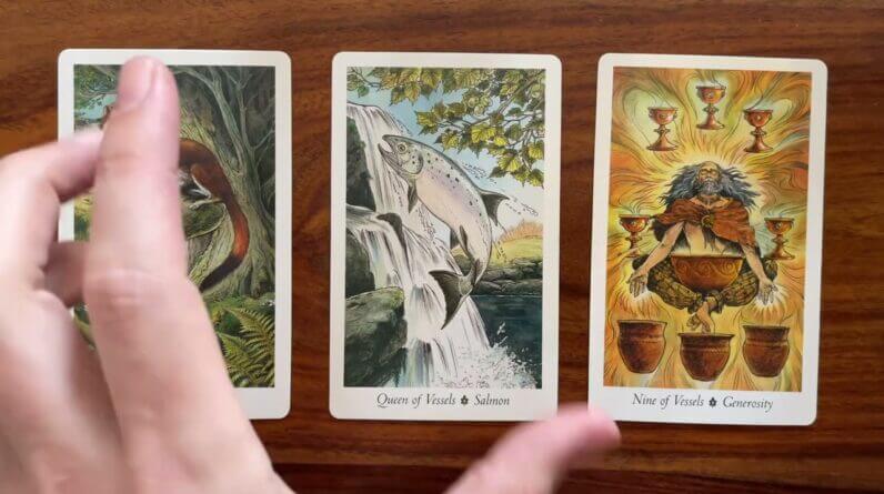 Be generous to yourself 9 August 2022 Your Daily Tarot Reading with Gregory Scott