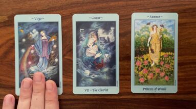 An illuminated path appears! 28 August 2022 Your Daily Tarot Reading with Gregory Scott