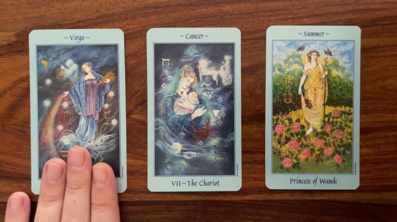 An illuminated path appears! 28 August 2022 Your Daily Tarot Reading with Gregory Scott