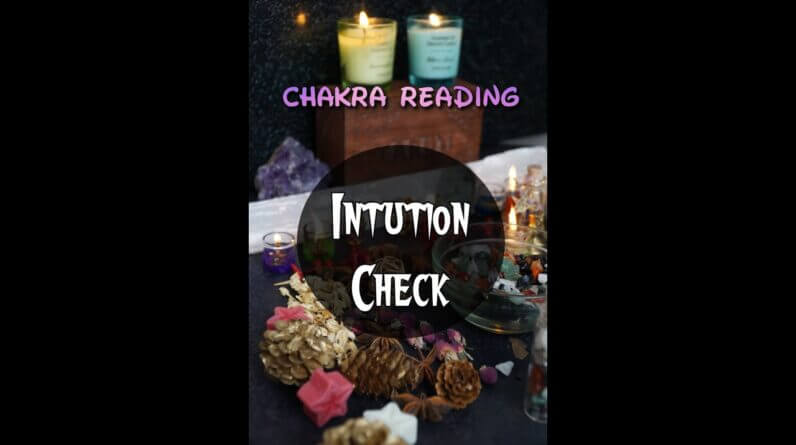 Check Intuition