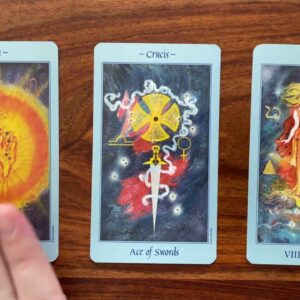The pushy higher self 🙄 22 August 2022 Your Daily Tarot Reading with Gregory Scott