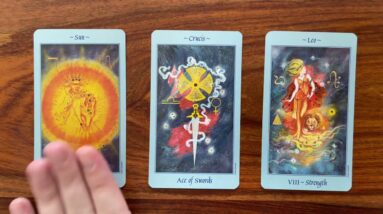 The pushy higher self 🙄 22 August 2022 Your Daily Tarot Reading with Gregory Scott