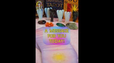 Angels Have A Message For You Today! 🔮☀️🌟 (Oracle Card Reading) #shorts #pickacard #lisasimmi #god