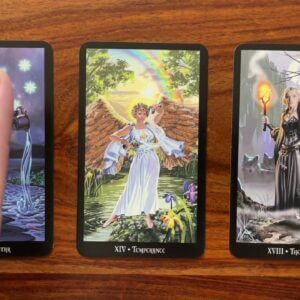 How to self actualise 3 August 2022 Your Daily Tarot Reading with Gregory Scott