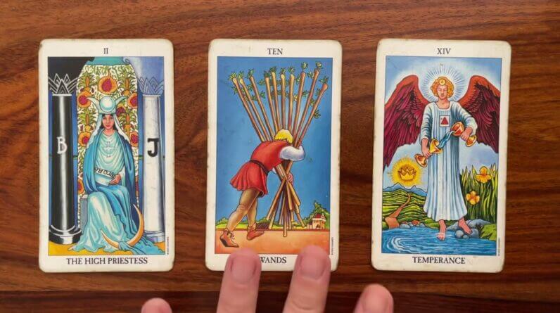 The Phoenix rises from the ashes 12 August 2022 Your Daily Tarot Reading with Gregory Scott
