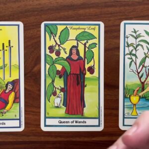 You get some time off! 13 August 2022 Your Daily Tarot Reading with Gregory Scott