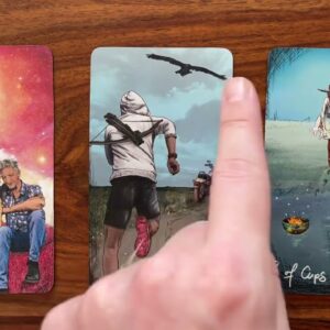 Make peace with yourself 14 August 2022 Your Daily Tarot Reading with Gregory Scott