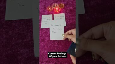 Love Letter From Your Partner #currentfeelings #freetarotreading #lisasimmi #shorts #lovereading