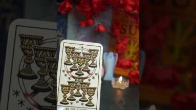 Sagittarius September Prediction #shorts #septembertarotreading #lisasimmi #horoscope