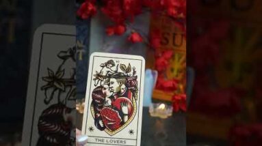 Scorpio September Prediction  #shorts #septembertarotreading #lisasimmi #horoscope