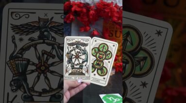 Capricorn September Prediction #shorts #septembertarotreading #lisasimmi #horoscope