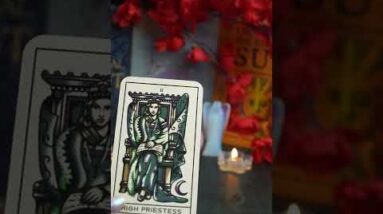 Libra September Prediction #shorts #septembertarotreading #lisasimmi #horoscope
