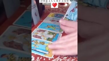 Sagittarius ♥️  This Is Why They Haven't Spoken Their Truth #tarot #tarotreading #zodiac #soulmate