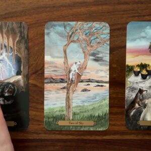 Yes, go for it! 🎉🎈18 September 2022 Your Daily Tarot Reading with Gregory Scott