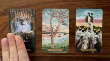 Yes, go for it! 🎉🎈18 September 2022 Your Daily Tarot Reading with Gregory Scott