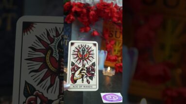 Cancer September Prediction #shorts #lisasimmi #septembertarotreading
