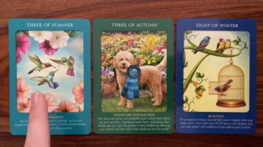 What makes a good friend? 28 September 2022 Your Daily Tarot Reading with Gregory Scott