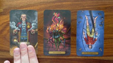 Discover the truth! 26 September 2022 Your Daily Tarot Reading with Gregory Scott